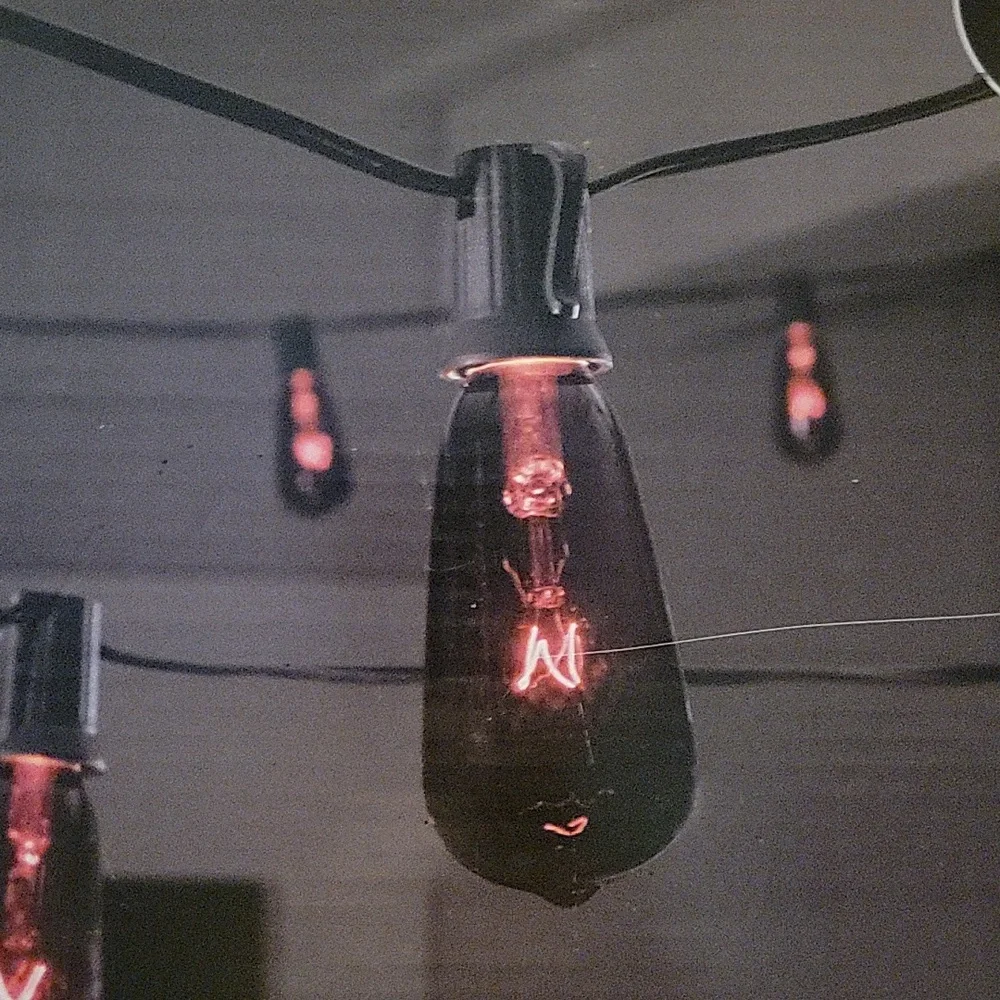Led string lights.  Halloween Decorations Seasonal Home Decor. NOT FOR SALE